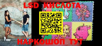 шишки Конаково